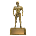 Swim Male Hero