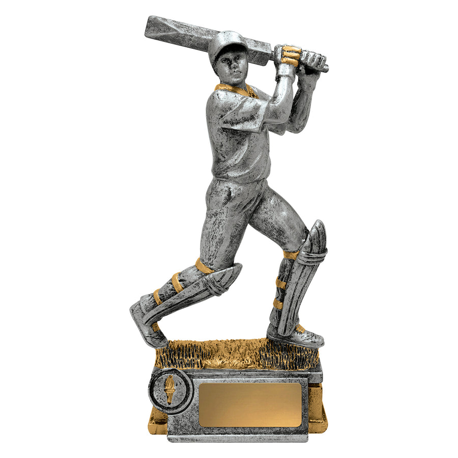 Cricket Batsman