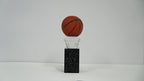 Basketball Winning Trophie