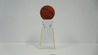 Basketball Winning Trophie