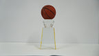 Basketball Winning Trophie