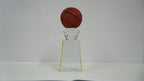 Basketball Winning Trophie