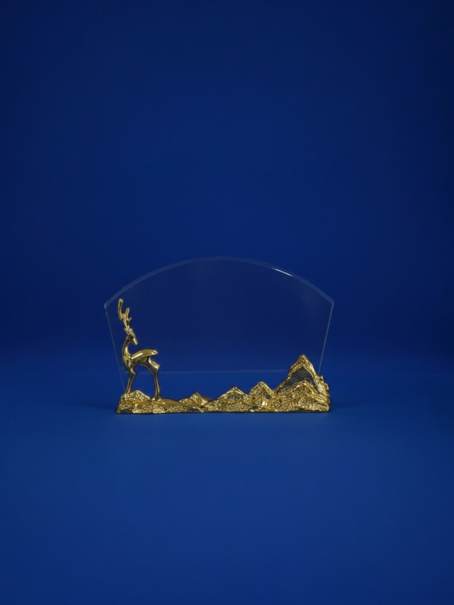 Honor Glass Shield - Recognition Glass Shield