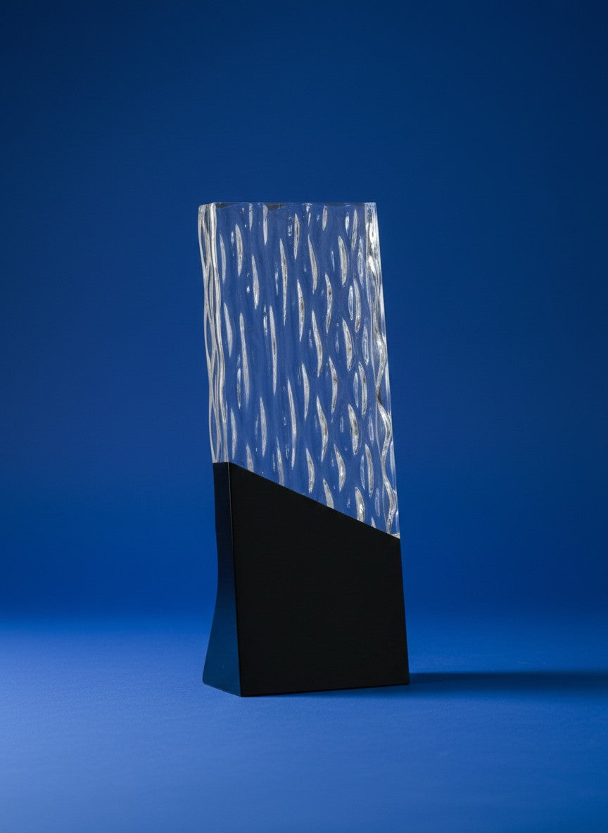 Excellence Glass Award - Outstanding Performance Award