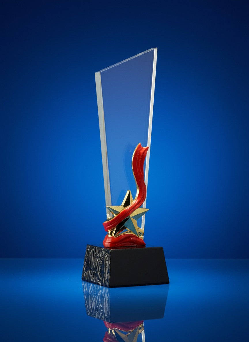 Vision Glass Award - Vision Vanguard Glass Award