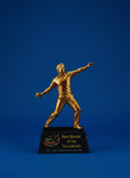 2D Acrlyic Bowler Award