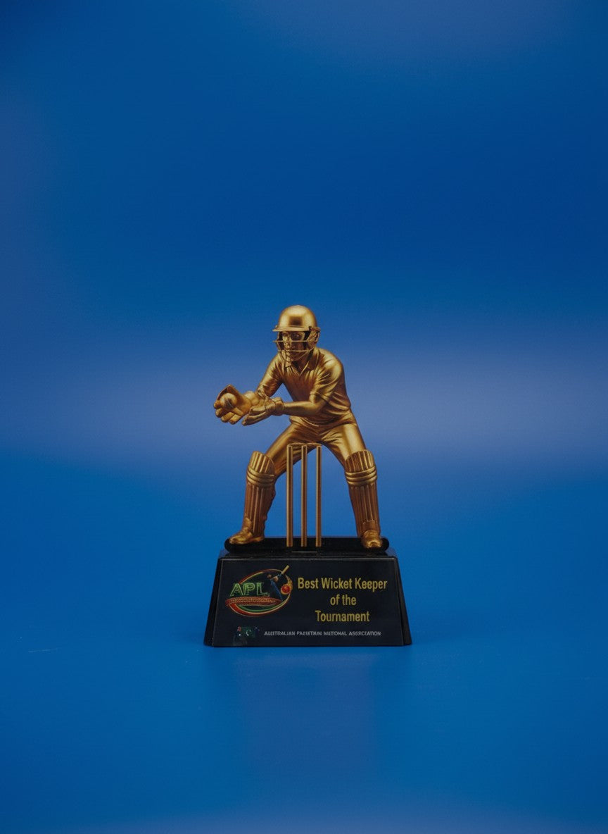 2D Acrlyic Keeper Award - Cricket Achievement Award/Trophy