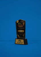 2D Acrlyic Guest Award