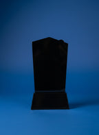 2D Acrlyic Guest Award