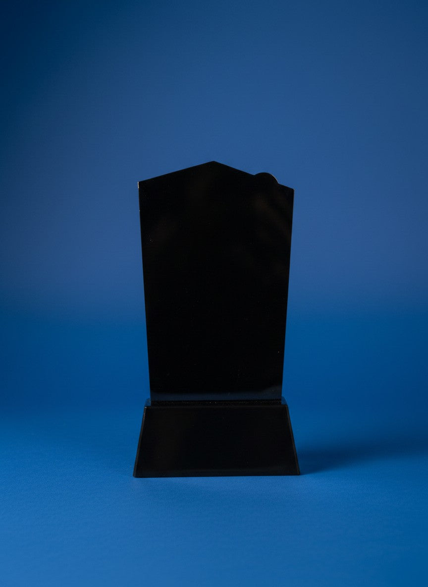 2D Acrlyic Guest Award