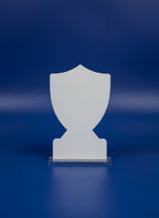 2D Acrlyic MVP Award