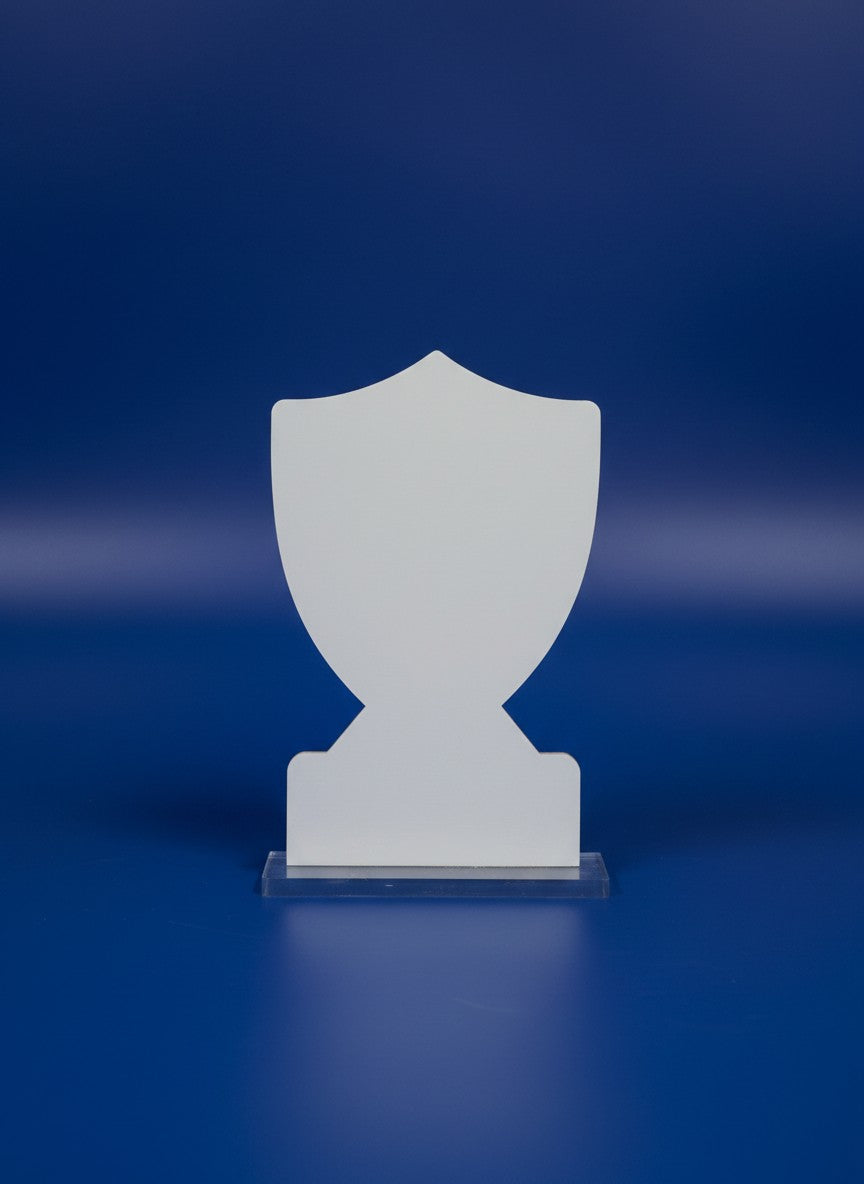 2D Acrlyic MVP Award