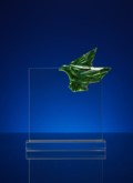 Heritage Glass Shield - Heritage Legacy Glass Shield