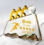 Royal Glass Shield - Recognition Glass Shield