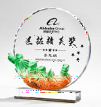 Victory Glass Shield -Leadership Glass Shield Award