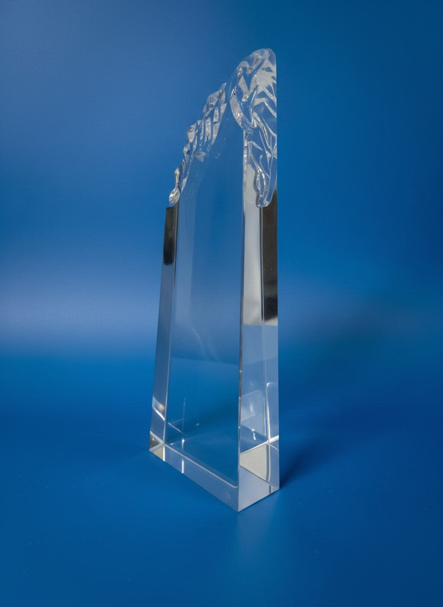 Legacy Glass Award - Legacy Visionary Award