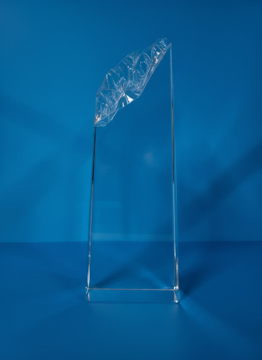 Legacy Glass Award - Legacy Visionary Award