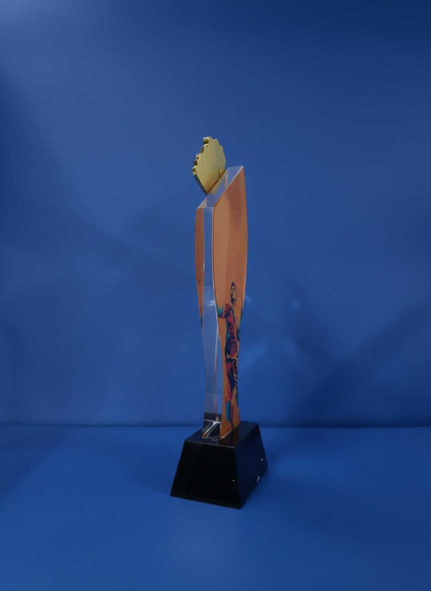 Elite Sports Award Badminton - Elite Badminton Achievement Award