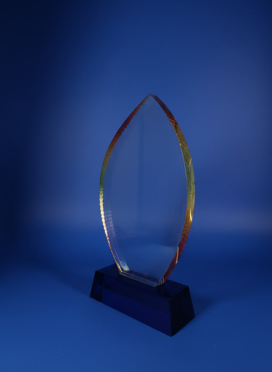 Platinum Glass Award - Platinum Leadership Glass Award