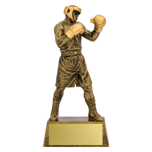Action Boxer