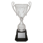 Cruiser Cup - Silver