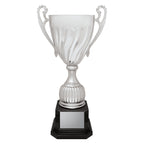 Cruiser Cup - Silver