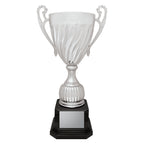 Cruiser Cup - Silver