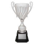 Cruiser Cup - Silver