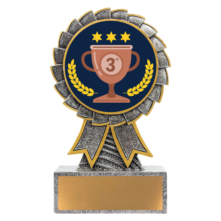 Aster - 3rd Place
