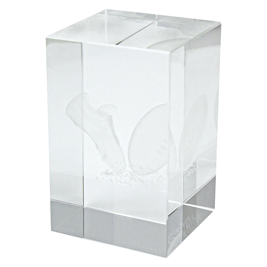 Crystal Block Award