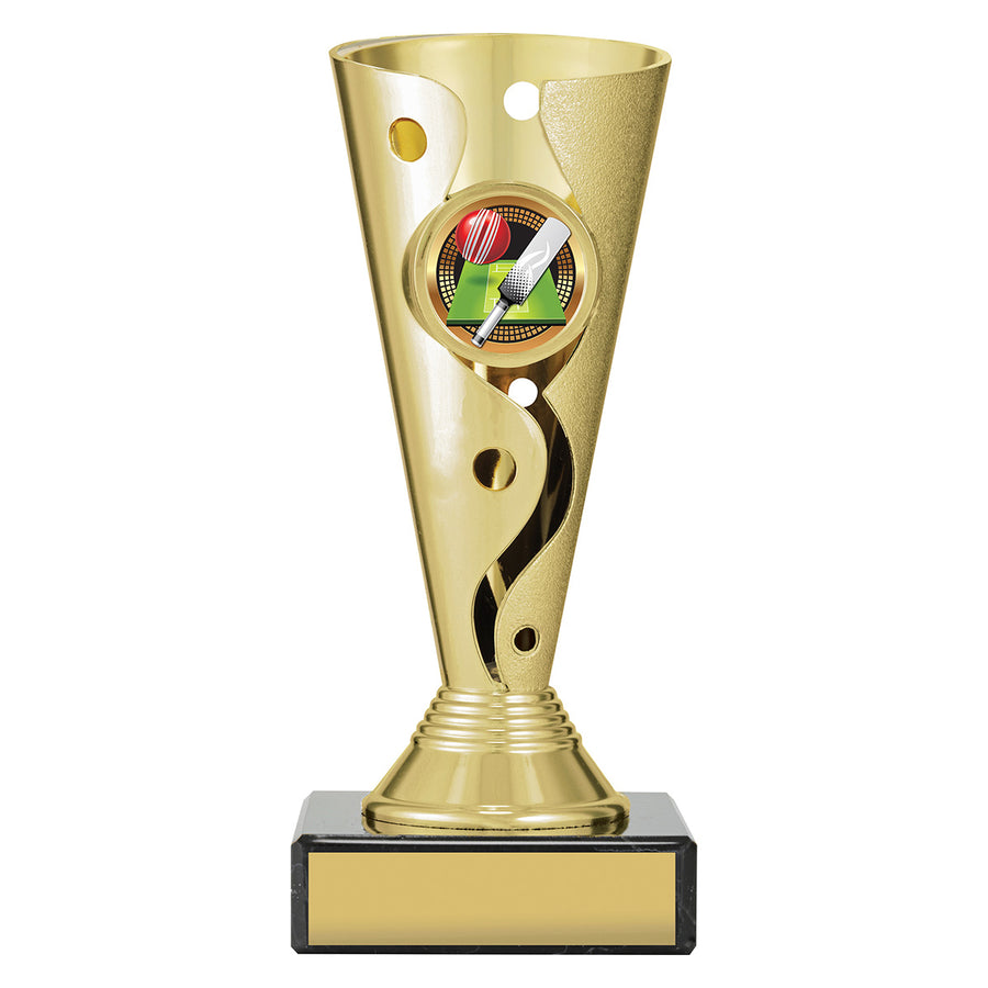 Carnival Cup - Cricket