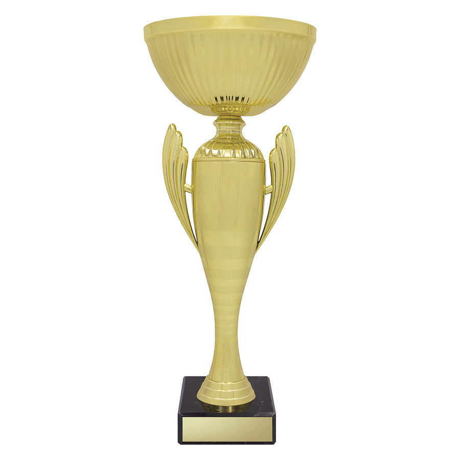 Guardian Cup