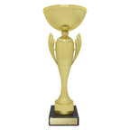 Guardian Cup