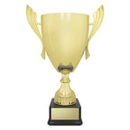 Ironside Cup - Gold