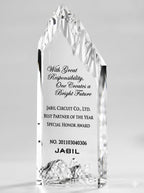 Signature Glass Award - Signature Champion Award