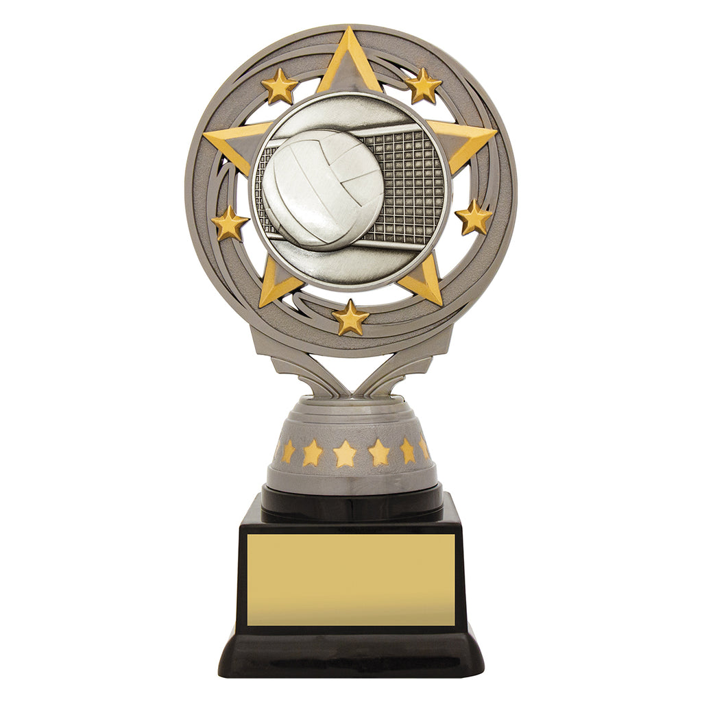 Silver Volleyball Torch
