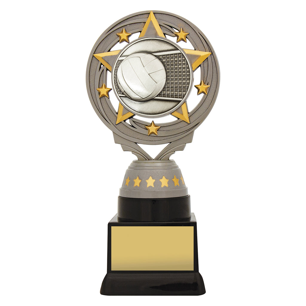 Silver Volleyball Torch