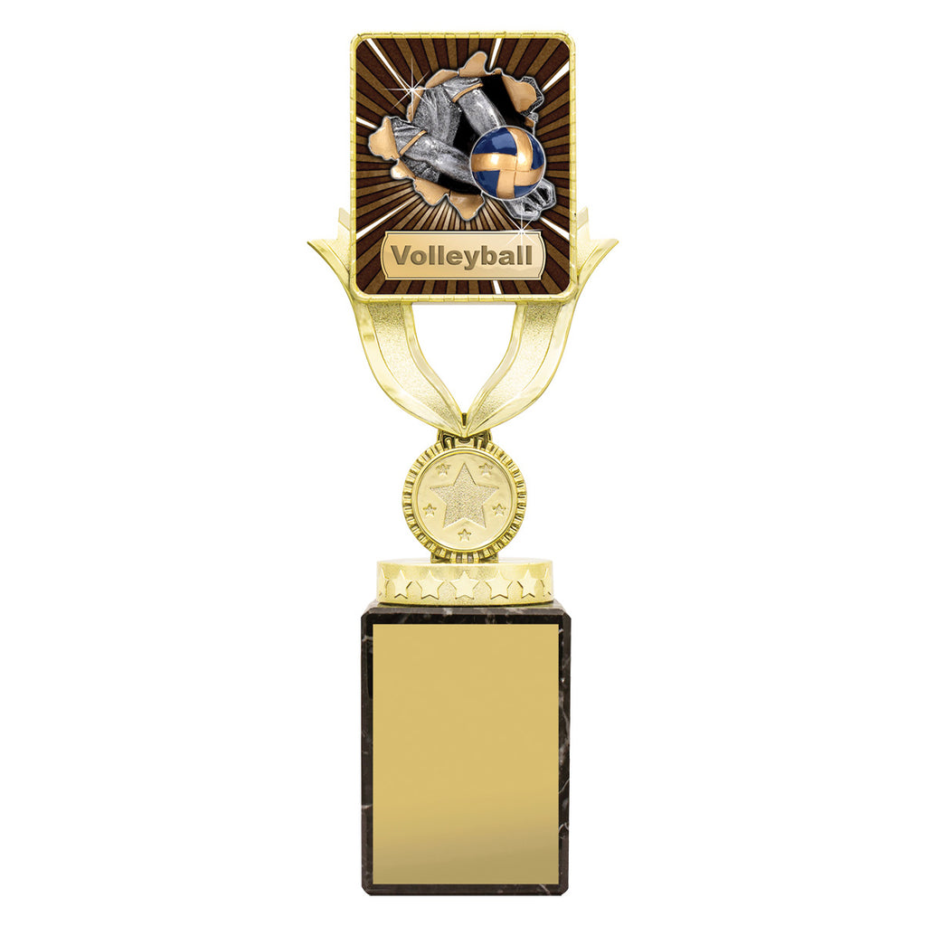 Lynx Sentry - Volleyball