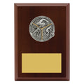 Peak Plaque Triathlon