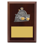 Peak Plaque Swim