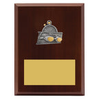 Peak Plaque Swim