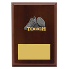 Peak Plaque Touch
