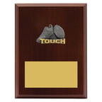 Peak Plaque Touch
