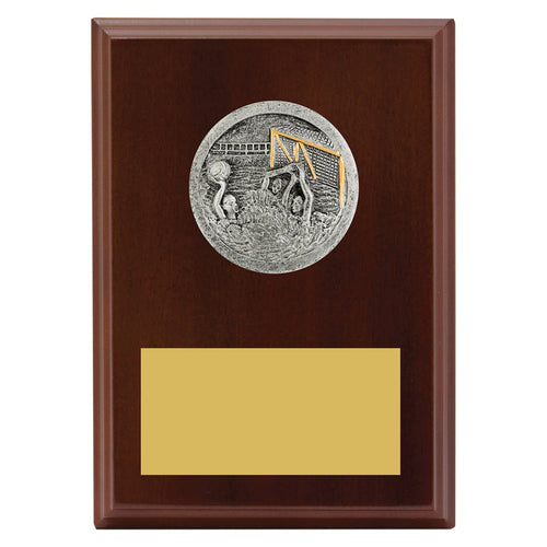 Peak Plaque Water Polo