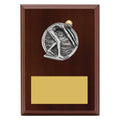 Peak Plaque - Male Swim
