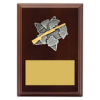 Peak Plaque Shooting