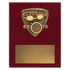 Nova Plaque - Swim