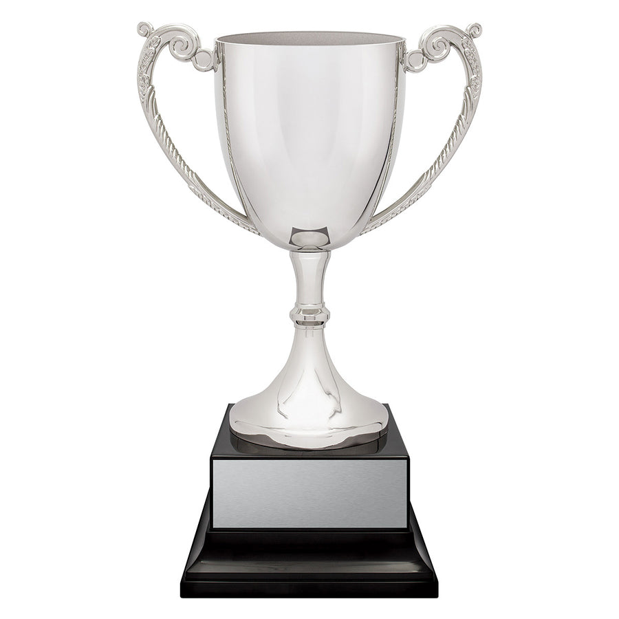 Provenance Cup