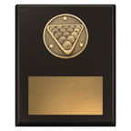Challenge Plaque - Pool